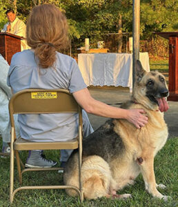 Blessing of the Animals