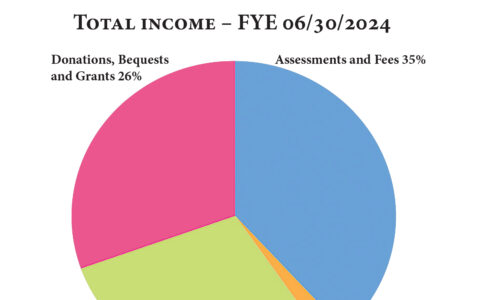 Finance Annual Report 2024